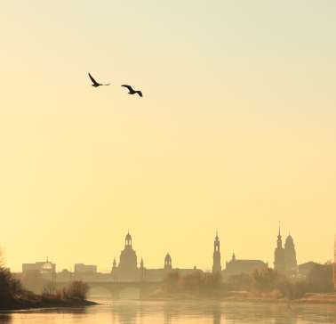 Dresden an der Elbe©pixabay