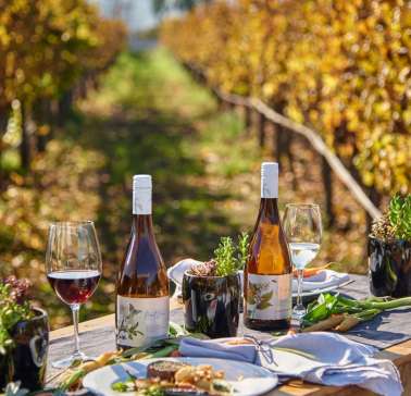 ©Weingut Casa del Bosque