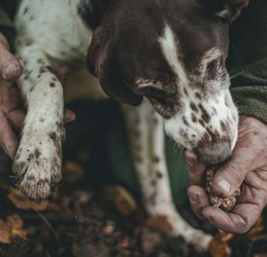 ©unsplash