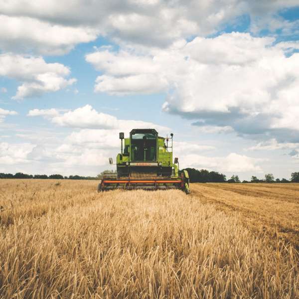 agriculture© pixabay